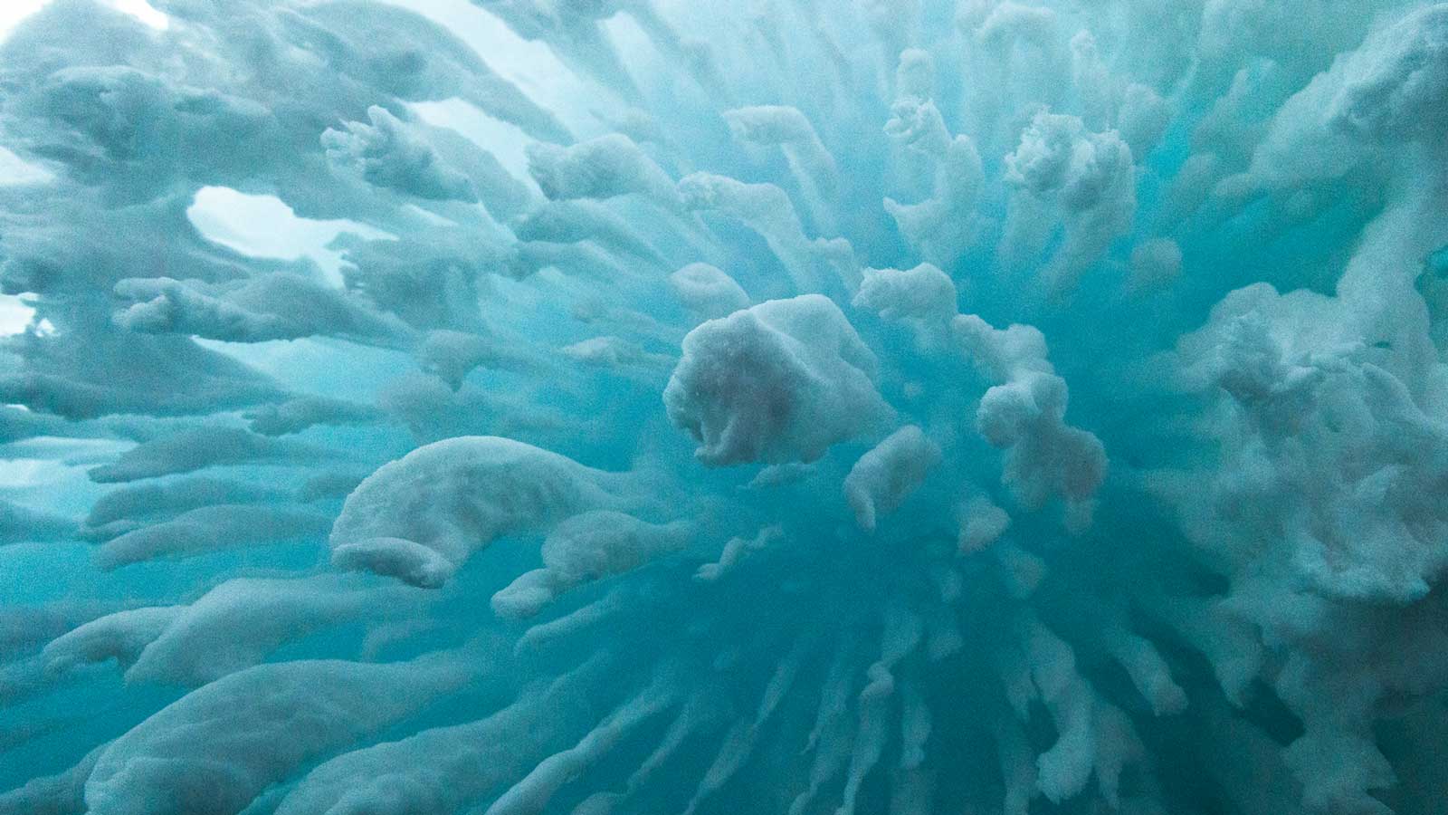 ice formations in teal/blue water