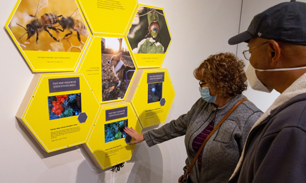 Museum visitors view ExhibitsUSA exhibition Nature’s Blueprints: Biomimicry in Art and Design.