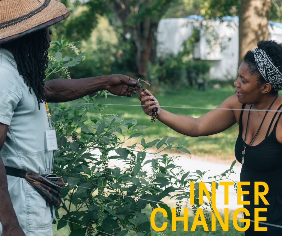 Dark-skinned male-presenting person with denim overalls and hat hands part of a plant over a fence to a medium-dark-skinned female-presenting person at a sunny farm.