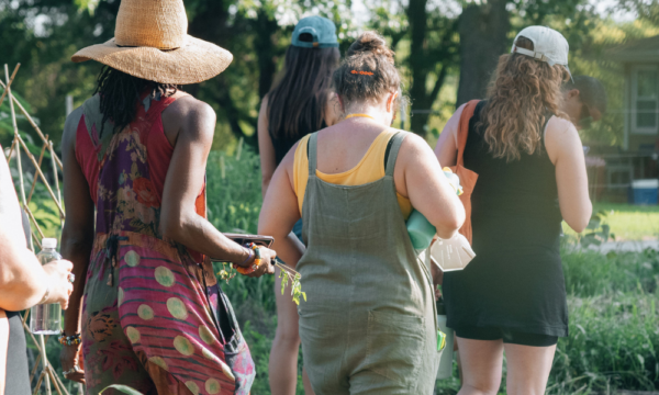 A group of people appearing to be a variety of ages, ethnicities, and genders, walk together outdoors on a farm in the sunshine while picking herbs and flowers.