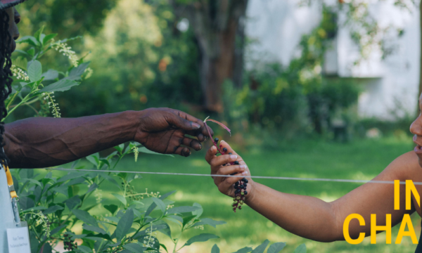 Male-presenting individual with dark skin hands a female-presenting individual with dark skin a plant over a fence in a vibrant green outdoor setting.