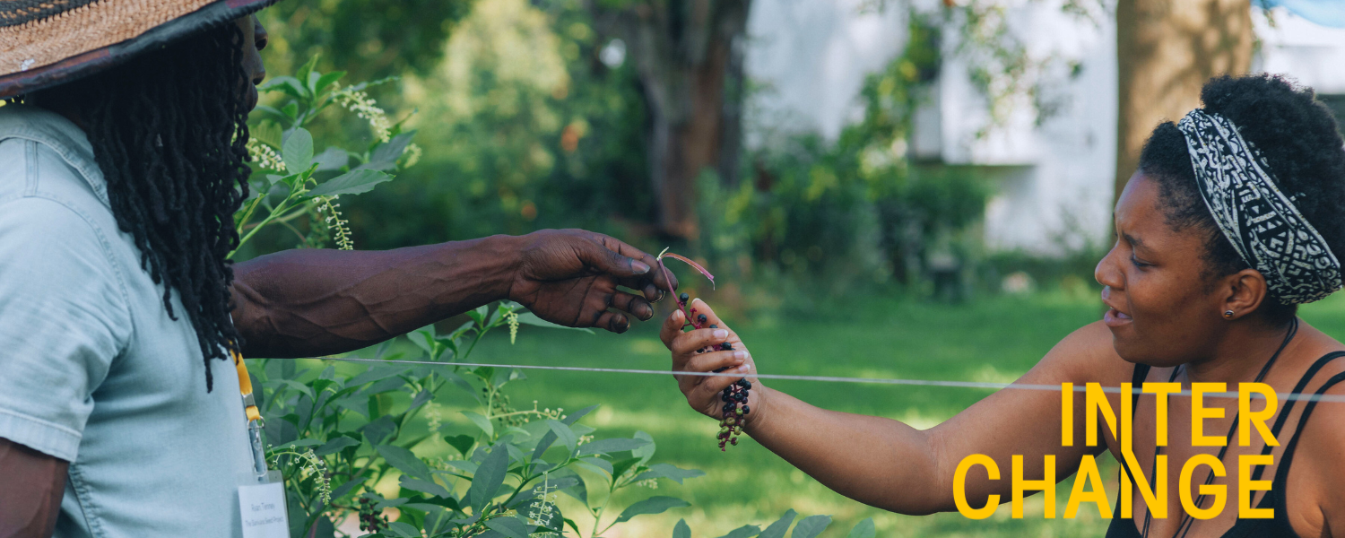 Male-presenting individual with dark skin hands a female-presenting individual with dark skin a plant over a fence in a vibrant green outdoor setting.