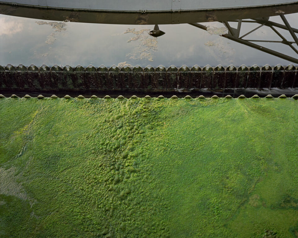Green algae coagulates against a metal barrierseparating it from a nearby puddle of still water.